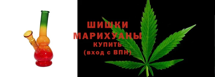 индика Калининец