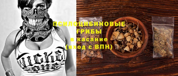 прущая мука Нестеровская