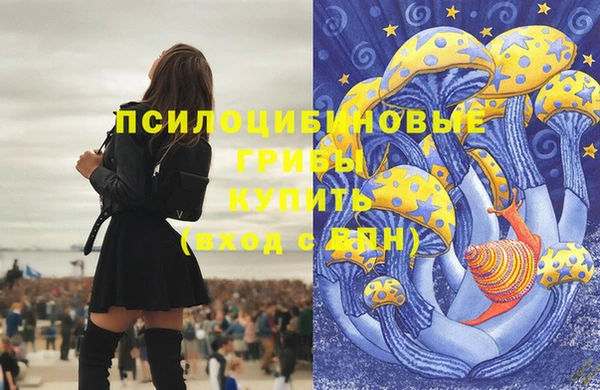 стафф Пестово