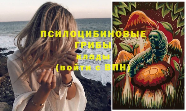 apvp Покров