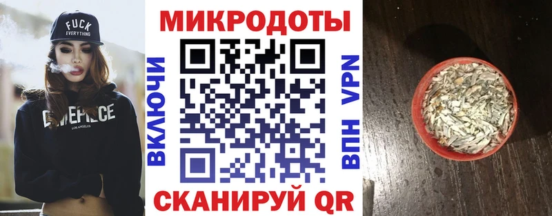 Псилоцибиновые грибы Psilocybe  Красный Кут 